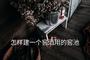 怎樣建一個窖酒用的窖池