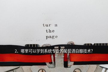 2、哪里可以學到系統(tǒng)專業(yè)的葡萄酒自釀技術？