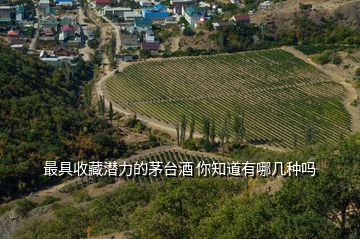 最具收藏潛力的茅臺酒 你知道有哪幾種嗎