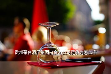 貴州茅臺(tái)酒廠集團(tuán)白金酒公司競(jìng)爭(zhēng)力怎么樣