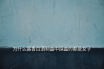 為什么醬香白酒制曲中踩曲的都是女子