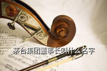 茅臺集團董事長叫什么名字