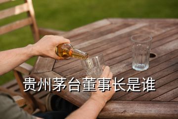 貴州茅臺(tái)董事長(zhǎng)是誰