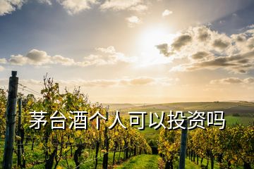 茅臺(tái)酒個(gè)人可以投資嗎