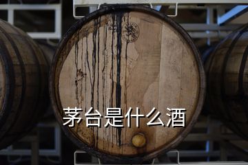 茅臺是什么酒