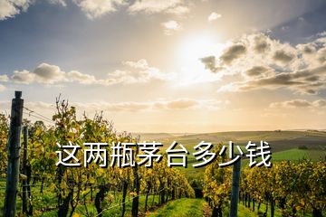 這兩瓶茅臺(tái)多少錢