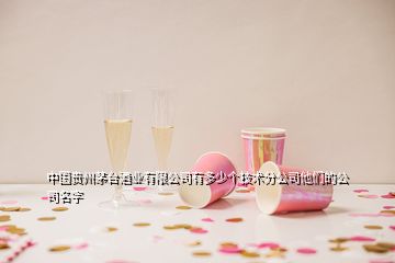 中國貴州茅臺酒業(yè)有限公司有多少個技術分公司他們的公司名字