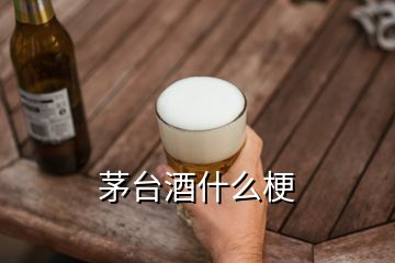 茅臺(tái)酒什么梗