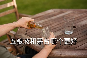 五糧液和茅臺哪個更好