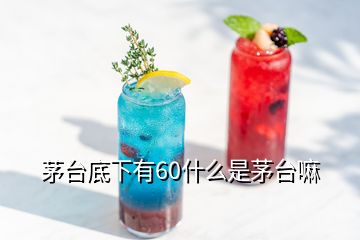 茅臺(tái)底下有60什么是茅臺(tái)嘛