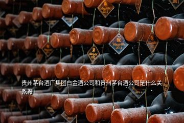 貴州茅臺酒廠集團白金酒公司和貴州茅臺酒公司是什么關(guān)系搜