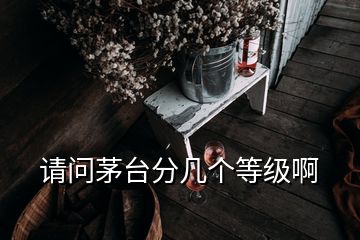 請問茅臺分幾個(gè)等級啊