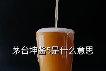 茅臺坤醬5是什么意思