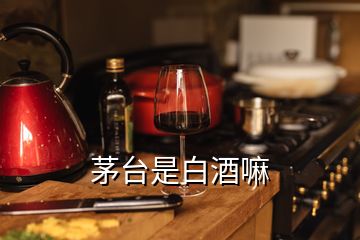 茅臺是白酒嘛