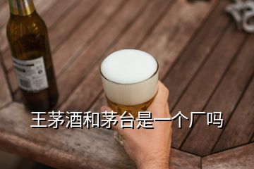 王茅酒和茅臺(tái)是一個(gè)廠嗎