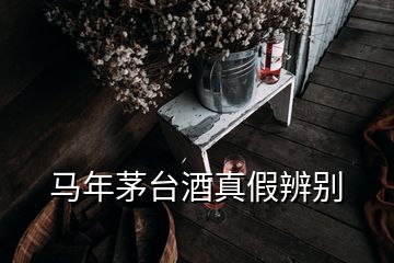 馬年茅臺(tái)酒真假辨別