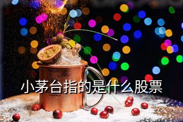 小茅臺指的是什么股票