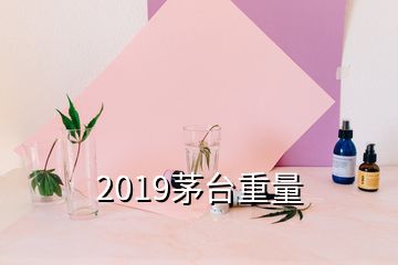 2019茅臺重量