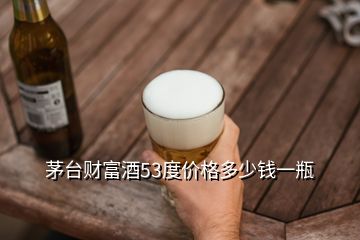 茅臺財(cái)富酒53度價(jià)格多少錢一瓶