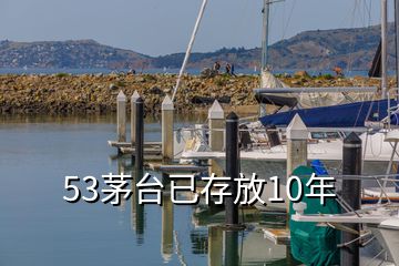 53茅臺已存放10年