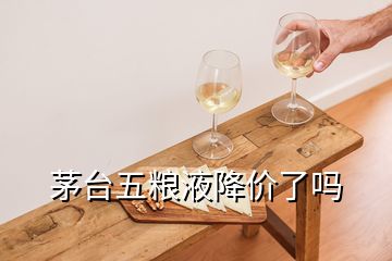 茅臺五糧液降價(jià)了嗎