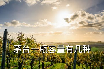 茅臺(tái)一瓶容量有幾種