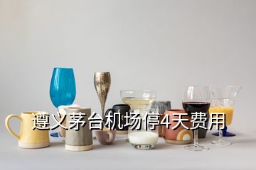 遵義茅臺(tái)機(jī)場(chǎng)停4天費(fèi)用