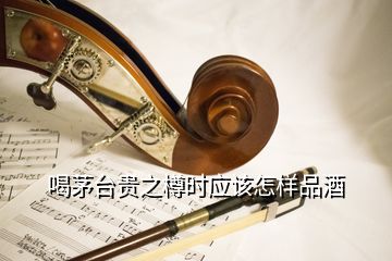 喝茅臺貴之樽時應(yīng)該怎樣品酒