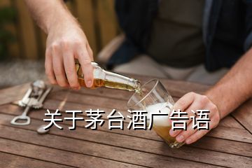 關(guān)于茅臺酒廣告語