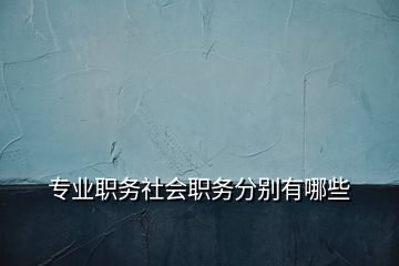 專業(yè)職務社會職務分別有哪些