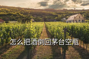 怎么把酒倒回茅臺(tái)空瓶