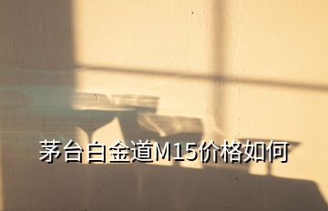 茅臺白金道M15價格如何