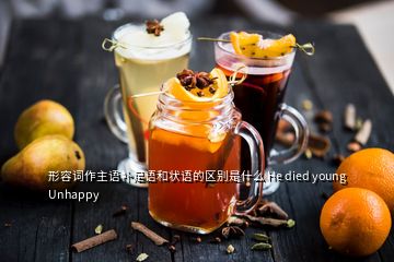 形容詞作主語補(bǔ)足語和狀語的區(qū)別是什么 He died young Unhappy