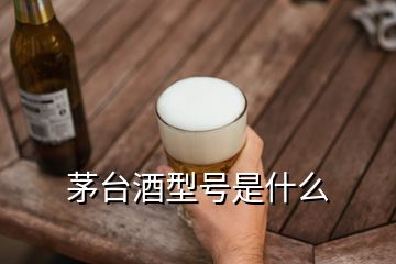 茅臺(tái)酒型號(hào)是什么