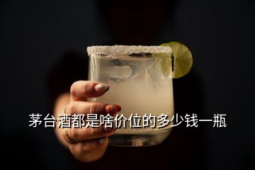 茅臺(tái)酒都是啥價(jià)位的多少錢(qián)一瓶