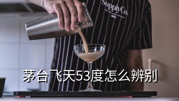 茅臺飛天53度怎么辨別