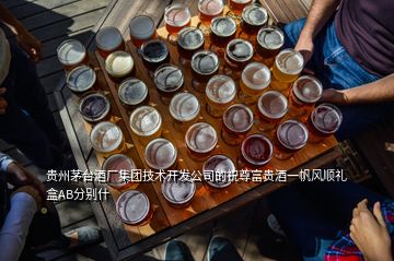 貴州茅臺(tái)酒廠集團(tuán)技術(shù)開發(fā)公司的祝尊富貴酒一帆風(fēng)順禮盒AB分別什