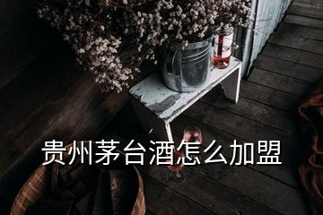 貴州茅臺(tái)酒怎么加盟