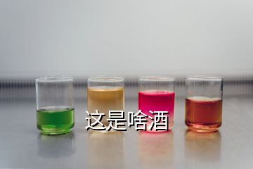 這是啥酒