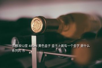 五糧液52度 480ml 黃色盒子 盒子上面有一個金字 是什么系列的 市