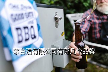 茅臺酒有限公司有哪幾個品牌