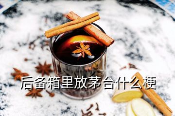 后備箱里放茅臺(tái)什么梗