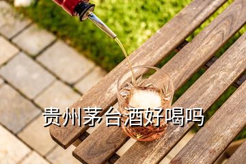 貴州茅臺(tái)酒好喝嗎