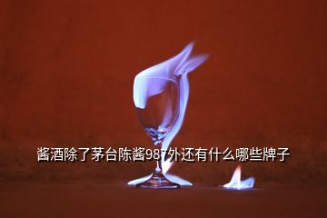 醬酒除了茅臺(tái)陳醬987外還有什么哪些牌子