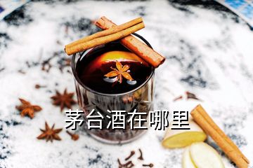 茅臺酒在哪里