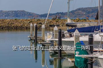 張飛的垃圾話在三國演義里能進一陣嗎