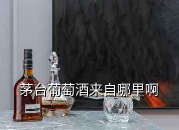 茅臺(tái)葡萄酒來(lái)自哪里啊