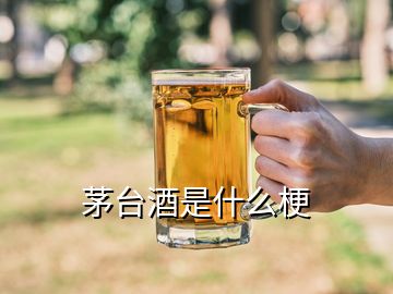 茅臺酒是什么梗