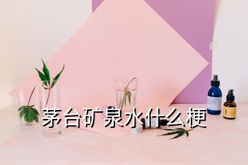 茅臺(tái)礦泉水什么梗