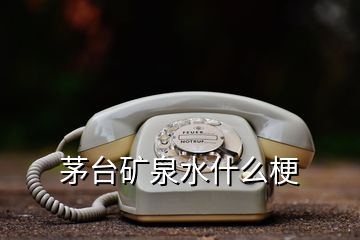 茅臺(tái)礦泉水什么梗